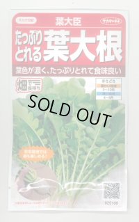 送料無料　[大根]　葉ダイコン　葉大臣　約900粒　(株)サカタのタネ　実咲350（003088）