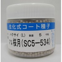 送料無料　[白菜]　桜月　ペレット5千粒　(株)サカタのタネ