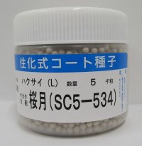 送料無料　[白菜]　桜月　ペレット5千粒　(株)サカタのタネ