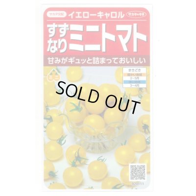 画像1: 送料無料　[トマト/ミニトマト]　イエローキャロル　15粒　(株)サカタのタネ　実咲450（004026）