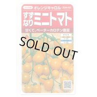 送料無料　[トマト/ミニトマト]　オレンジキャロル　15粒　(株)サカタのタネ　実咲450（004027）