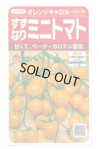 送料無料　[トマト/ミニトマト]　オレンジキャロル　15粒　(株)サカタのタネ　実咲450（004027）