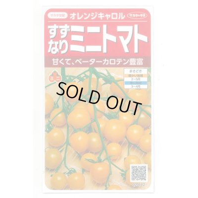 画像1: 送料無料　[トマト/ミニトマト]　オレンジキャロル　15粒　(株)サカタのタネ　実咲450（004027）