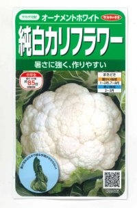 送料無料　カリフラワー　]　オーナメントホワイト　小袋(約120粒)　(株)サカタのタネ　実咲450（004025）