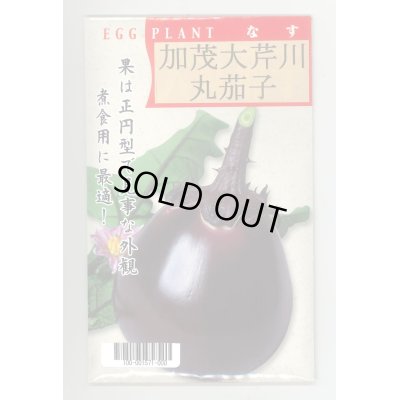 画像1: 送料無料　[なす]　京野菜　加茂大芹川丸茄子　20ml　(株)タカヤマシード