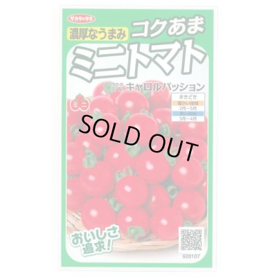 画像1: 送料無料　[トマト/ミニトマト]　キャロルパッション　12粒　(株)サカタのタネ　実咲450（002826）