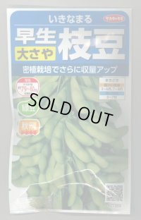 送料無料　[枝豆]　いきなまる　約40粒　(株)サカタのタネ　実咲350　（003157）　　　　　　　　　　　　　　　　　　　　　　　　　　　　　　　　　　　　