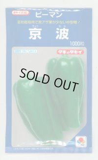 送料無料　[ピーマン]　京波　1000粒　タキイ種苗(株)