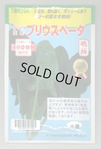 送料無料　[ほうれんそう]　ほうれんそう　プリウスベータ　小袋(40ml)　トキタ種苗(株)