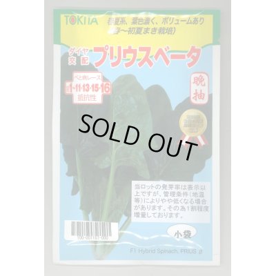 画像1: 送料無料　[ほうれんそう]　ほうれんそう　プリウスベータ　小袋(40ml)　トキタ種苗(株)