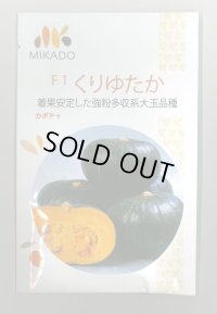 送料無料　[かぼちゃ]　くりゆたか　8粒　ヴィルモランみかど