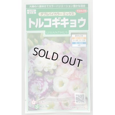 画像1: 送料無料　花の種　トルコギキョウ　ダブルバイカラー　ミックス　約45粒　(株)サカタのタネ　実咲250（026259）