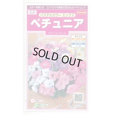 画像1: 送料無料　花の種　ペチュニア　パステルカラーミックス　約50粒　(株)サカタのタネ　実咲350（026163）