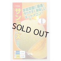 送料無料　[メロン]　サンライズ　100粒　ナント種苗(株)