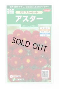 送料無料 花の種　アスター　松本スカーレット　約190粒　（株）サカタのタネ　実咲250