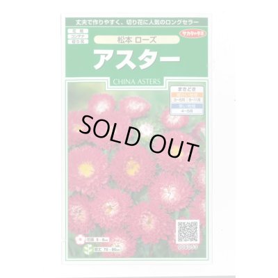 画像1: 送料無料　花の種　アスター　松本ローズ　約190粒　(株)サカタのタネ　実咲250（026207）