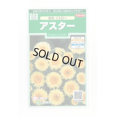 画像1: 送料無料　花の種　アスター　松本イエロー　約190粒　(株)サカタのタネ　実咲250（026209）