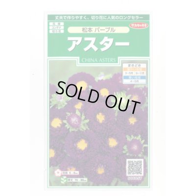 画像1: 送料無料　花の種　アスター　松本パープル　約190粒　(株)サカタのタネ　実咲250（026210）