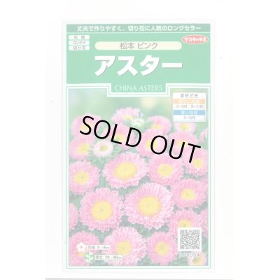 画像1: 送料無料　花の種　アスター　松本ピンク　約190粒　(株)サカタのタネ　実咲250（026208）