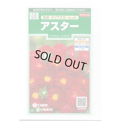 画像1: 送料無料　花の種　アスター　松本クリアスカーレット　約190粒　(株)サカタのタネ　実咲250（026206）