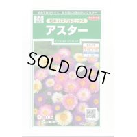 送料無料　花の種　アスター　松本　パステルミックス　約190粒　(株)サカタのタネ　実咲250（026213）