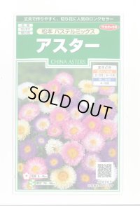 送料無料　花の種　アスター　松本　パステルミックス　約190粒　(株)サカタのタネ　実咲250（026213）