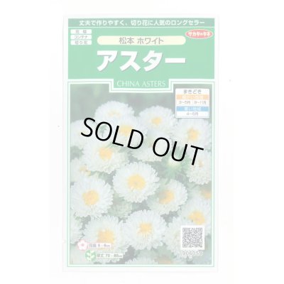 画像1: 送料無料　花の種　アスター　松本ホワイト　約190粒　(株)サカタのタネ　実咲250（026211）