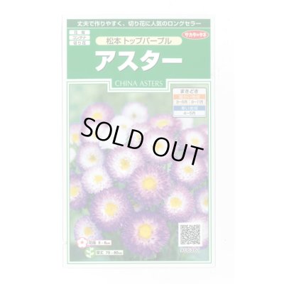 画像1: 送料無料　花の種　アスター　松本トップパープル　約190粒　(株)サカタのタネ　実咲250（026212）