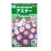 画像1: 送料無料　花の種　アスター　松本トップパープル　約190粒　(株)サカタのタネ　実咲250（026212） (1)