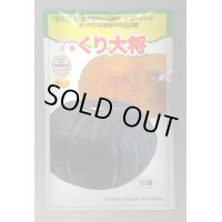 送料無料　[かぼちゃ]　くり大将　100粒　トキタ種苗(株)