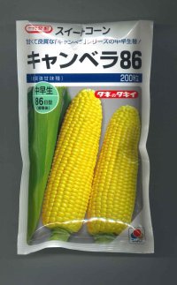 送料無料　[とうもろこし]　キャンベラ86　200粒　タキイ種苗(株)