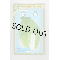 送料無料　[白菜]　菊錦　20ml　(株)トーホク