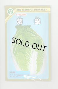 送料無料　[白菜]　菊錦　20ml　(株)トーホク