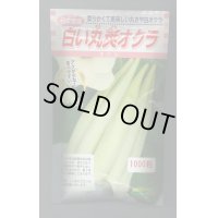 送料無料　[オクラ]　白い丸莢オクラ　1000粒　松永種苗(株)