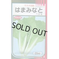 送料無料　[葉物]　はまみなとべかな　20ml　サカタのタネ(株)