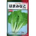 画像1: 送料無料　[葉物]　はまみなとべかな　20ml　サカタのタネ(株) (1)