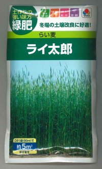 送料無料　[緑肥]　らい麦　ライ太郎　60ml　タキイ種苗(株)