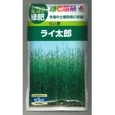 画像1: 送料無料　[緑肥]　らい麦　ライ太郎　60ml　タキイ種苗(株)