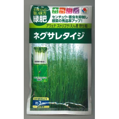 画像1: 送料無料　[緑肥]　ネグサレタイジ　60ml　タキイ種苗(株)