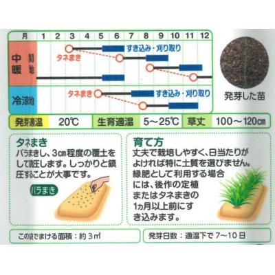 画像2: 送料無料　[緑肥]　ネグサレタイジ　60ml　タキイ種苗(株)