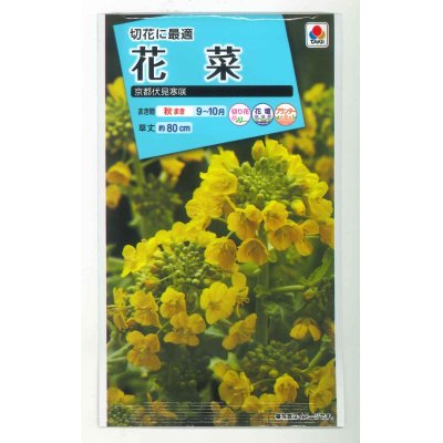 画像1: 送料無料　花の種　花菜　京都伏見寒咲　タキイ種苗(株)