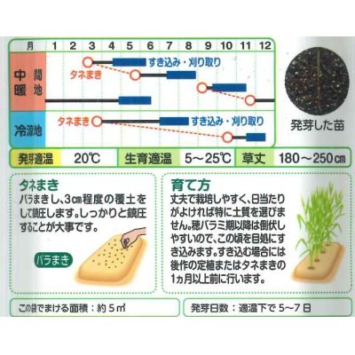 画像2: 送料無料　[緑肥]　らい麦　ライ太郎　60ml　タキイ種苗(株)