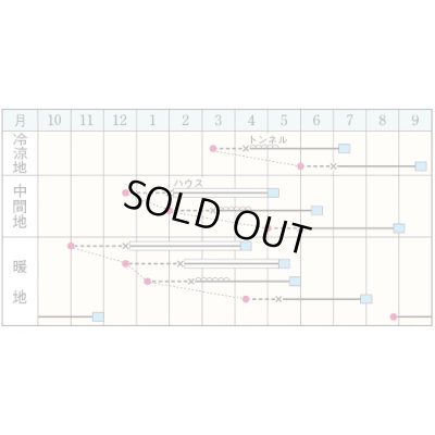 画像2: 送料無料　[かぼちゃ]　ほっこりえびす　100粒　タキイ種苗(株)