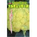 画像1: 送料無料　[カリフラワー]　ドルチェリモーネ　0.5ml　小林種苗 (1)