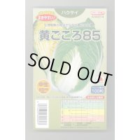 送料無料　[白菜]　黄ごころ85　ペレット100粒　タキイ種苗(株)