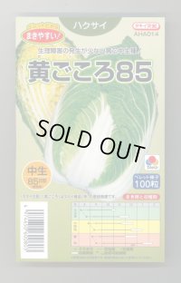 送料無料　[白菜]　黄ごころ85　ペレット100粒　タキイ種苗(株)