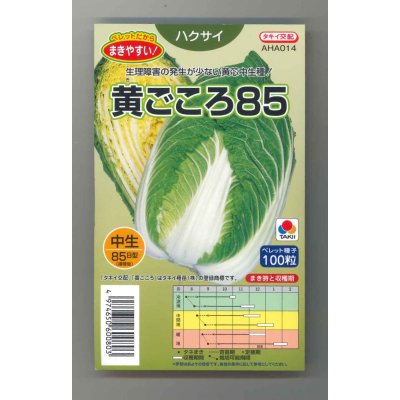 画像1: 送料無料　[白菜]　黄ごころ85　ペレット100粒　タキイ種苗(株)