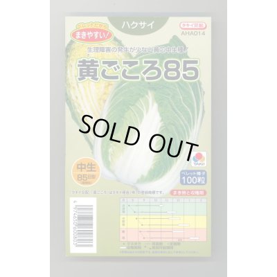 画像1: 送料無料　[白菜]　黄ごころ85　ペレット100粒　タキイ種苗(株)