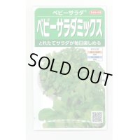 送料無料　[レタス]　ベビーサラダミックス　約2500粒　(株)サカタのタネ　実咲350（003037）