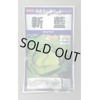 送料無料　[キャベツ]　新藍　ペレット　100粒　(株)サカタのタネ　実咲PRO